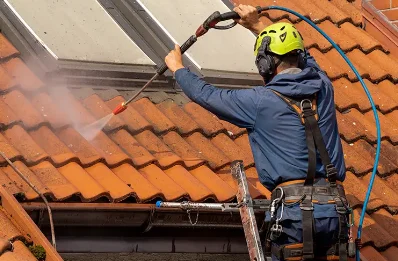 Démoussage et hydrofuge de toiture à Viella